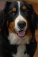 /album/fotogalerie/dsc-0008-2-jpg/